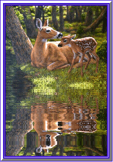 tres beau reflet  !